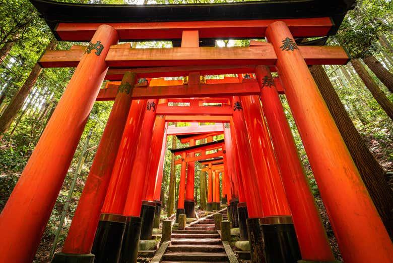 Japón al completo con Disney Tokyo de regalo